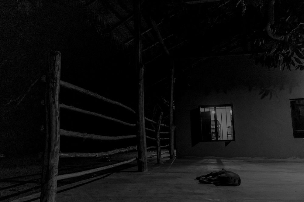 Peaceful surrounding