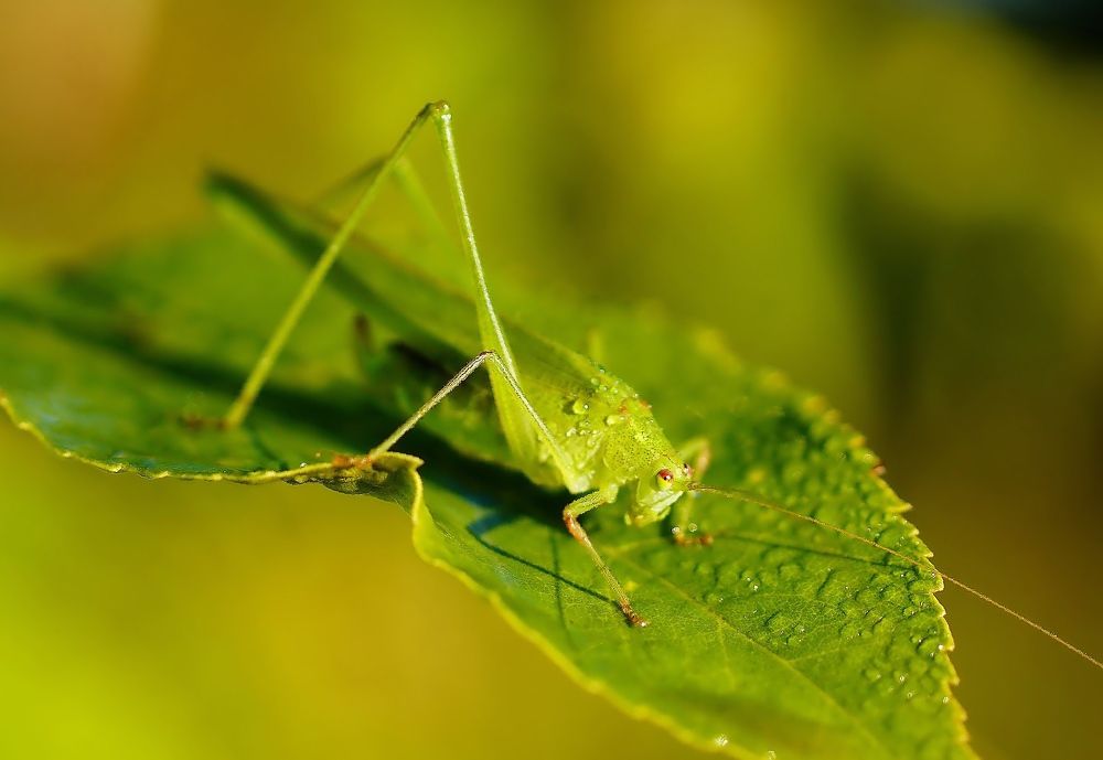 Фотография автора  Галина
