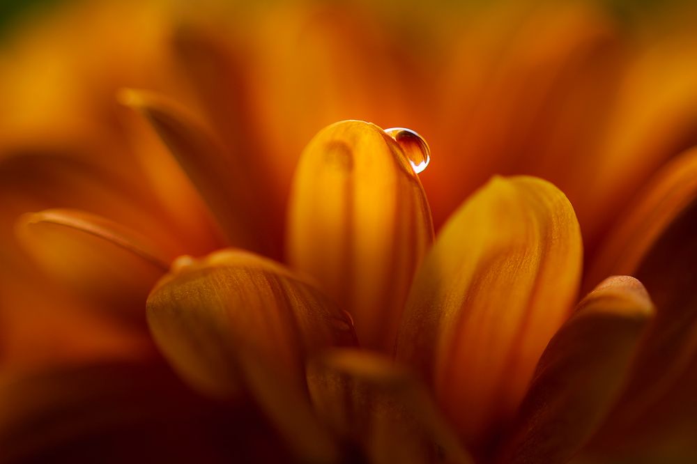 Photograph by Abdulrahman Adi