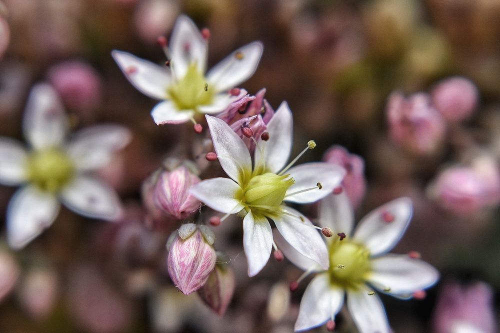 Photograph by Txelo Redondo