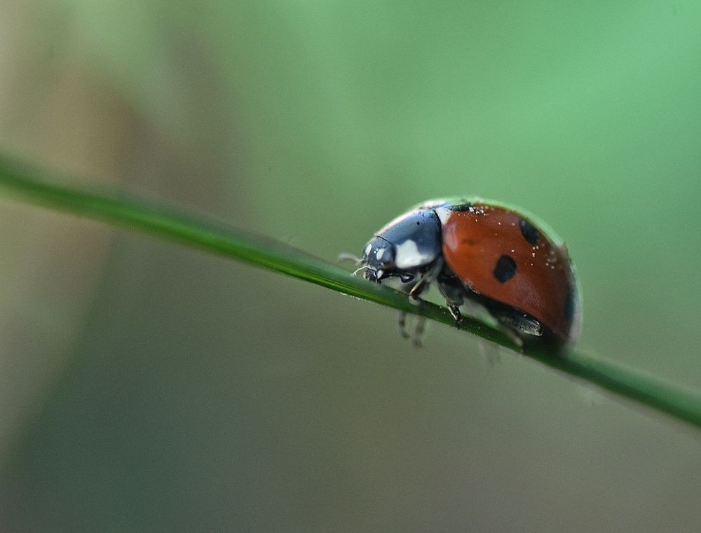 Photograph by Txelo Redondo