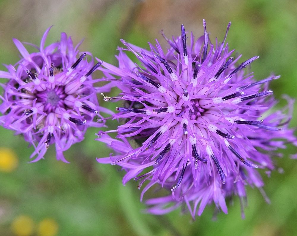 Photograph by Txelo Redondo