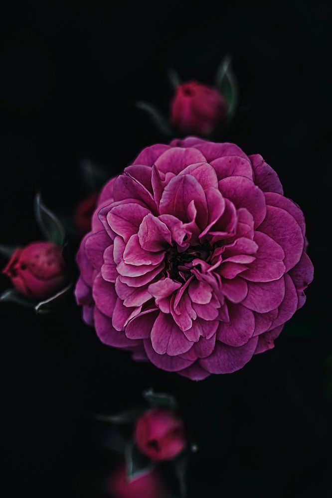 Photograph by Анна Политова