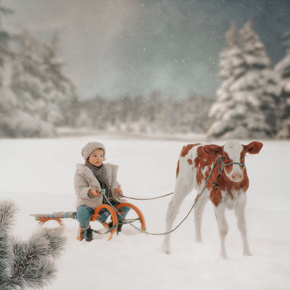 Photograph by Milena Lopez