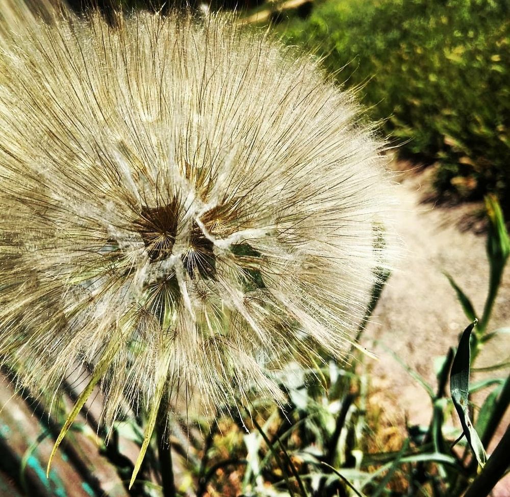 Photograph by Litvinova Ann