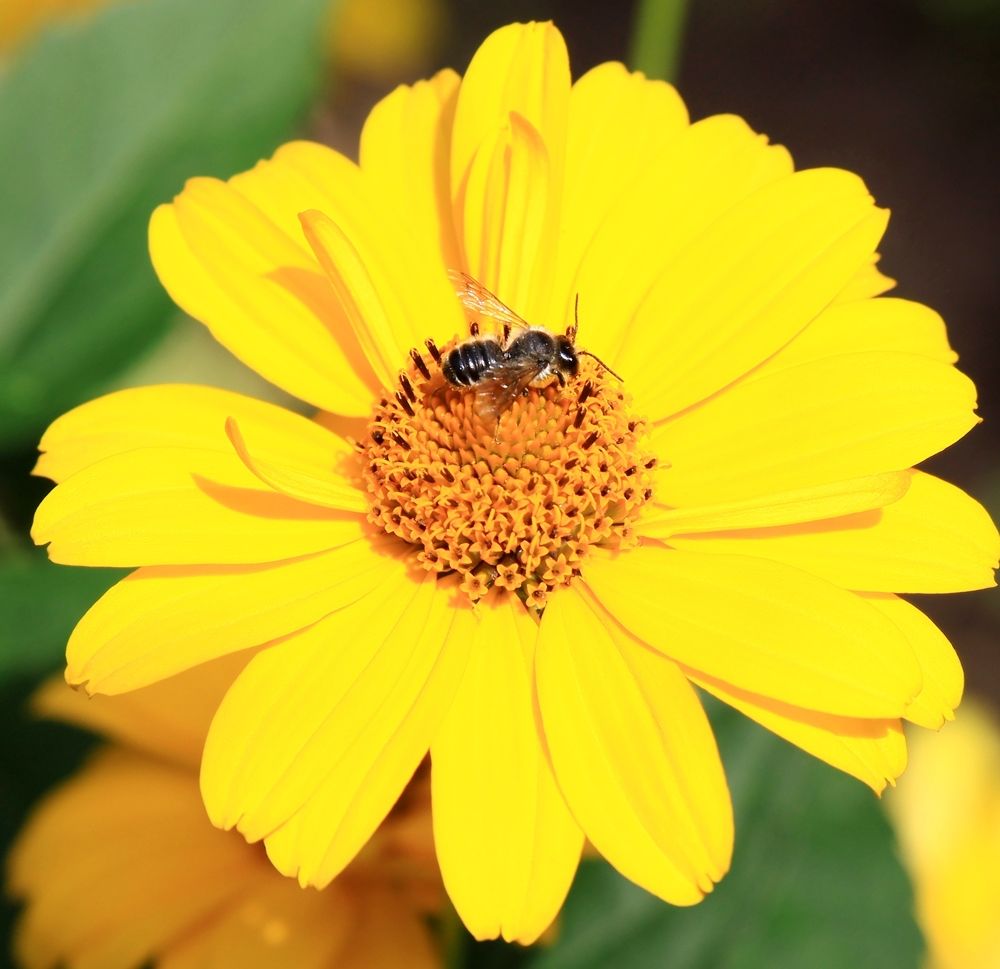 Фотография автора Сергей Барановский
