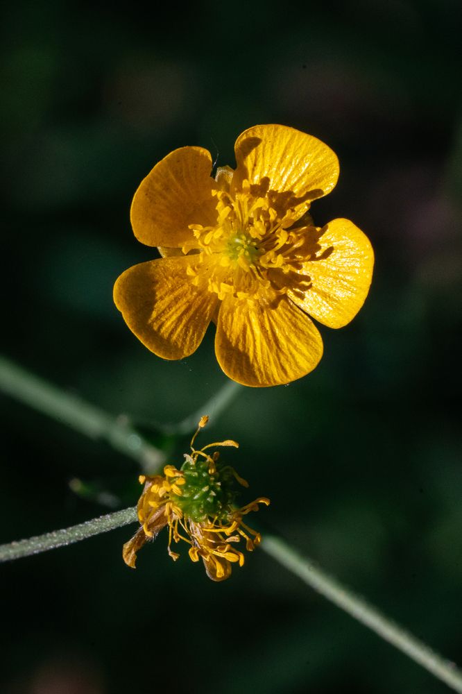 Photograph by Мария Янковская