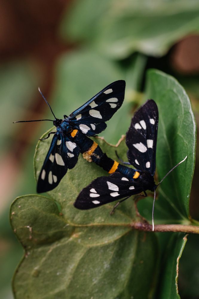 Photograph by Мария Янковская