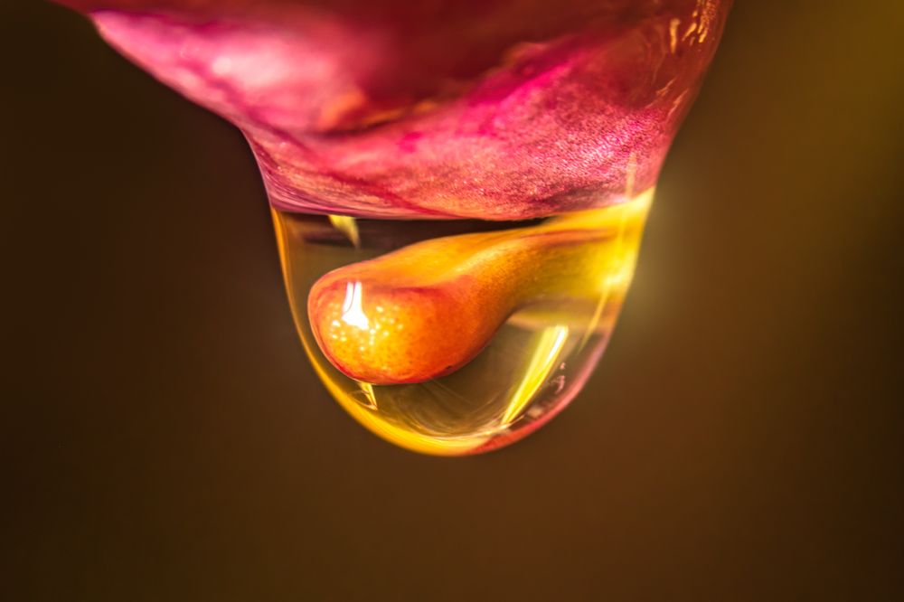 Photograph by Александр Горский