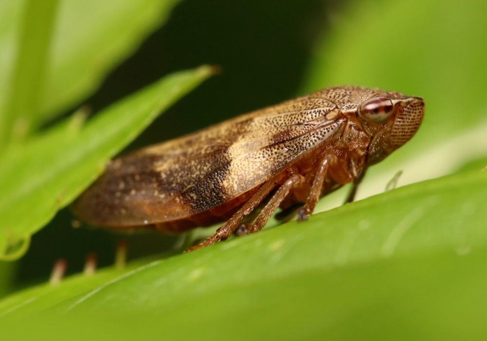 Photograph by Михаил Косяк