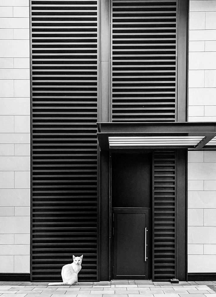 Photograph by ramleh kargar