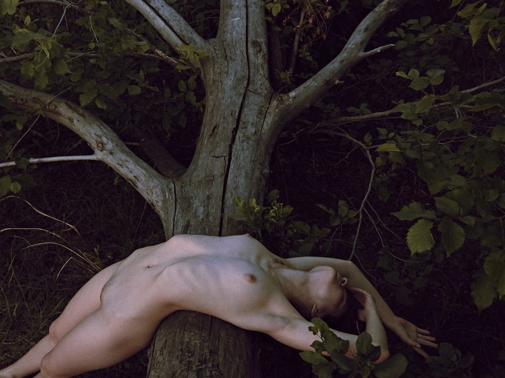 Photograph by Влад Gurgenagangrena