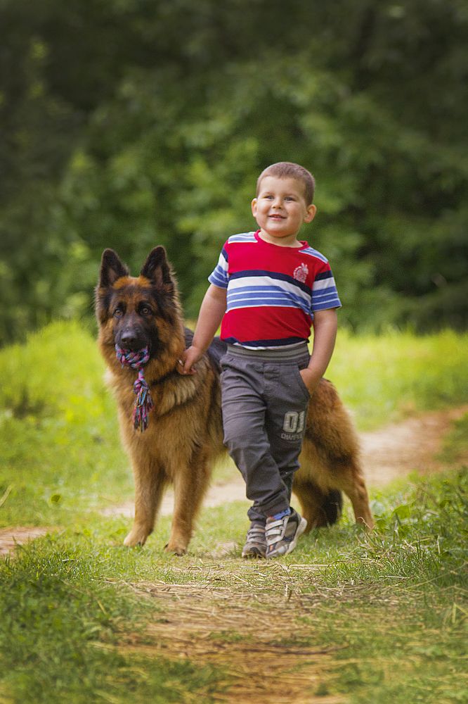 Photograph by Волгина Елена