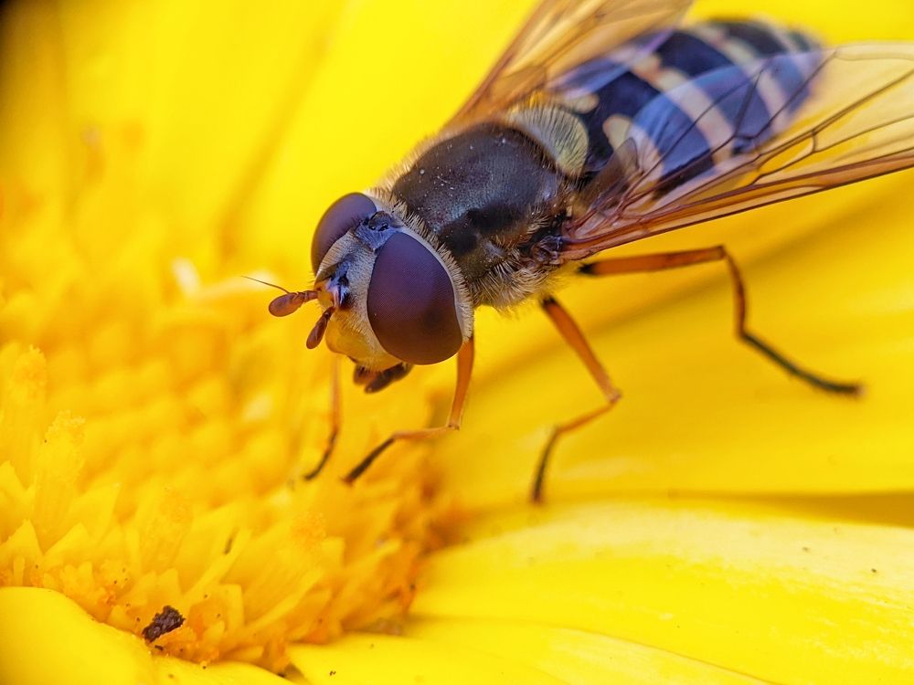 Photograph by Денис Пономарёв