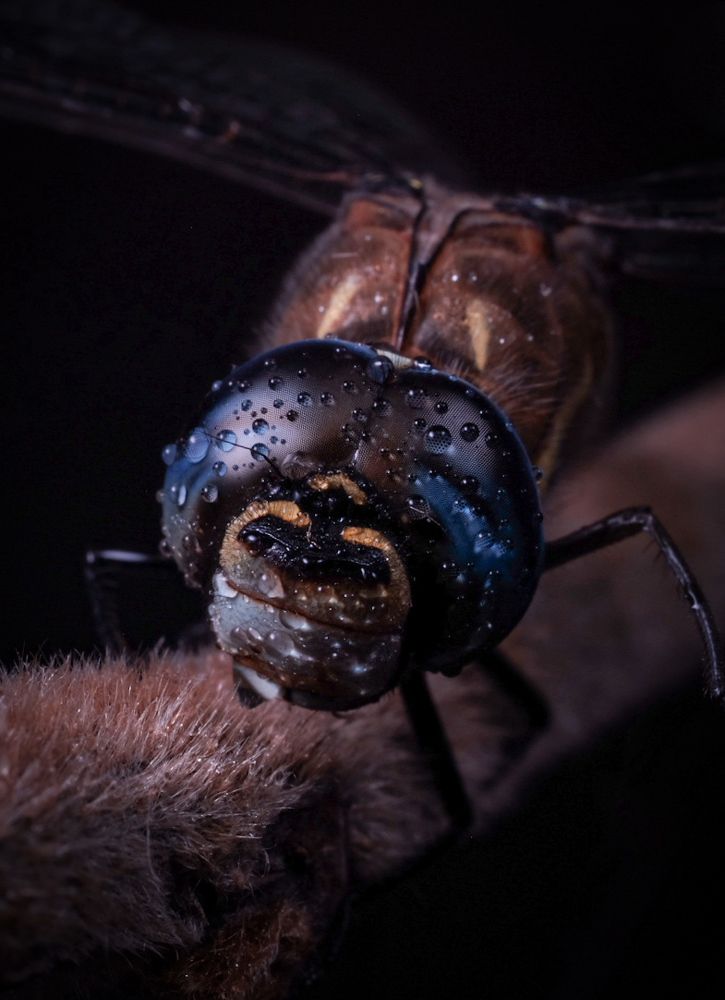 Фотография автора Константин Яковлев