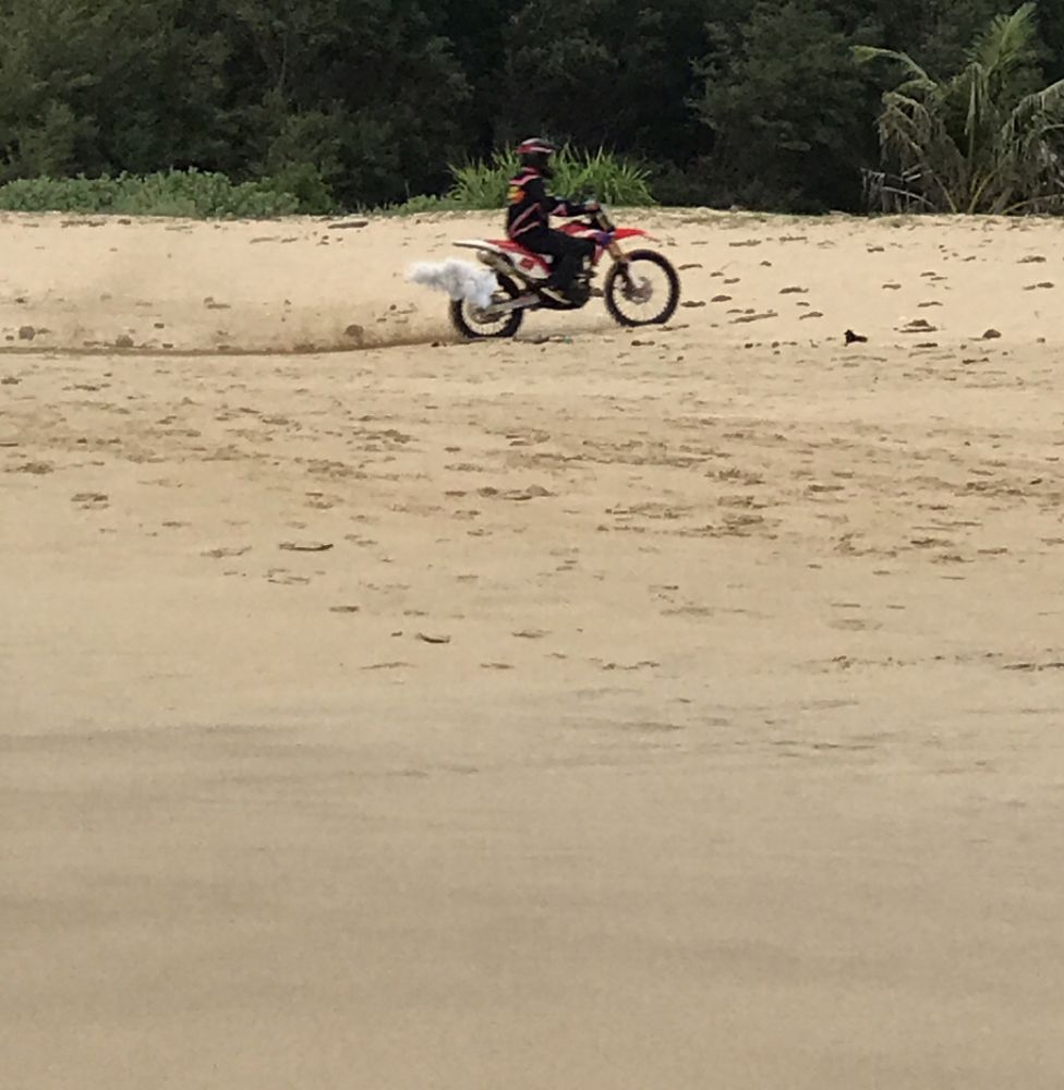 Photograph by Deasy Junita Dhani Hidayana