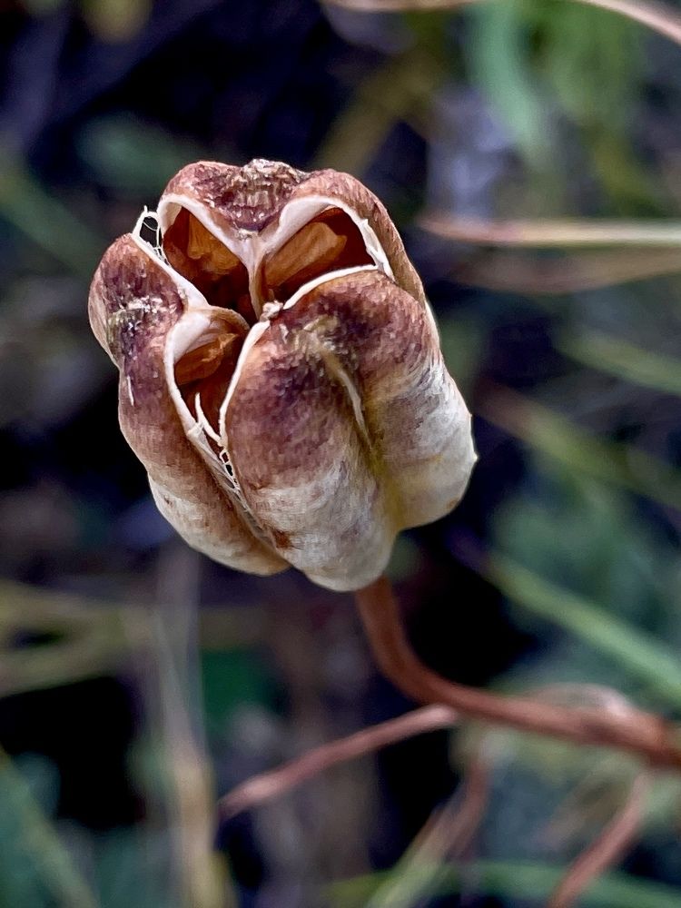 Photograph by Татьяна Ноздрина