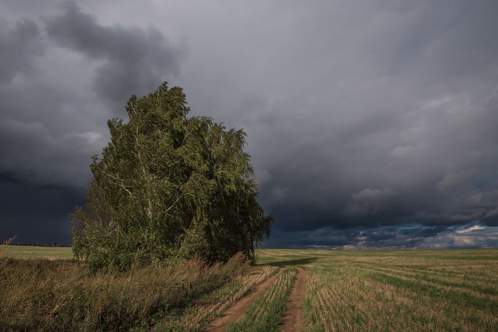 Фотография автора Виктор Руденко