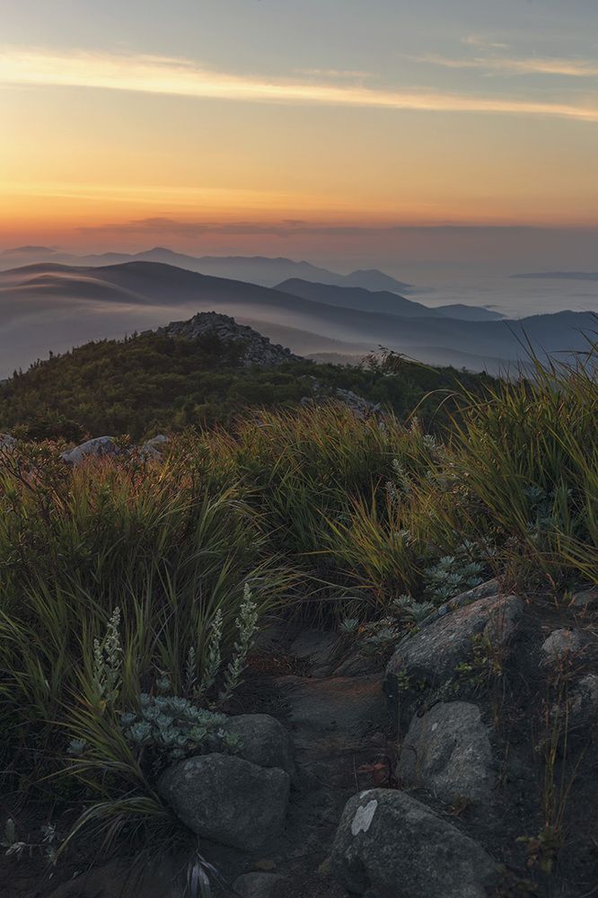 Photograph by Александр Кузнецов