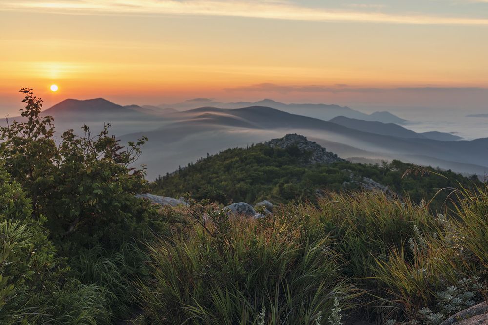 Photograph by Александр Кузнецов