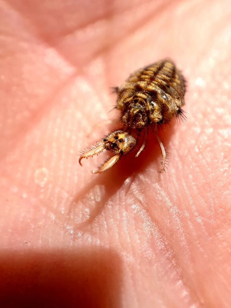 Photograph by Виталий Добрин