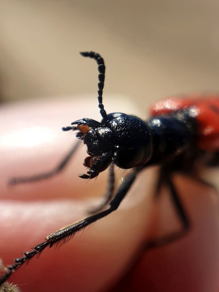 Photograph by Виталий Добрин