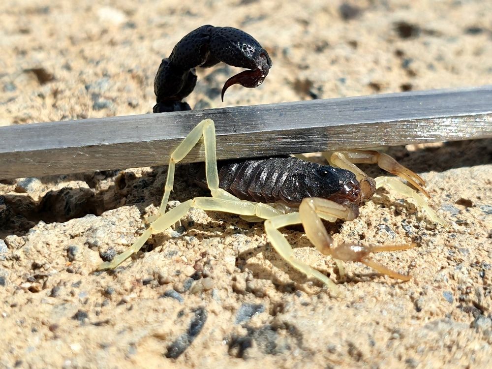 Photograph by Виталий Добрин