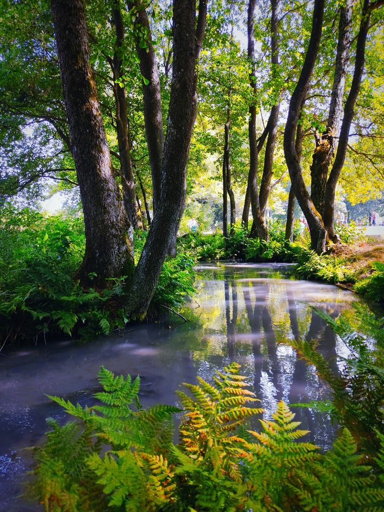 Голубая Криница