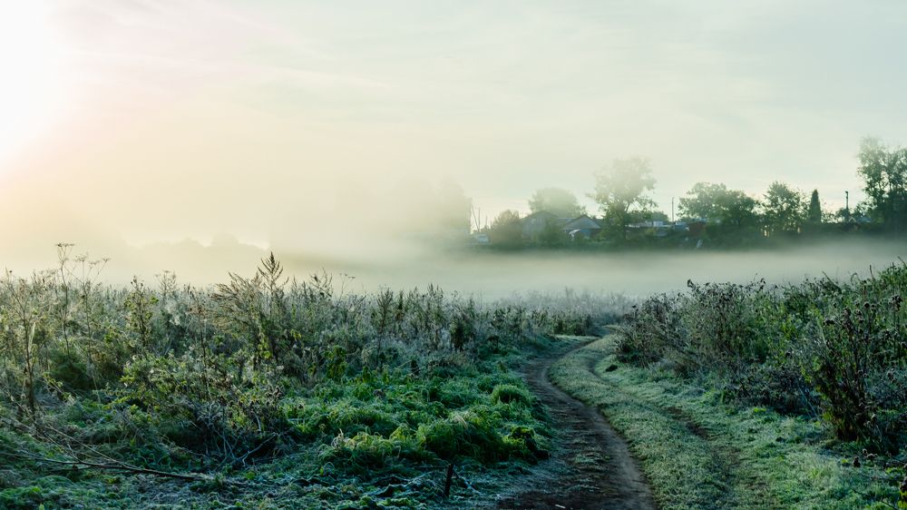 Photograph by Антон Щелкунов