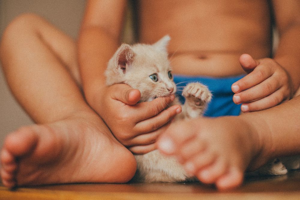 Photograph by Яна