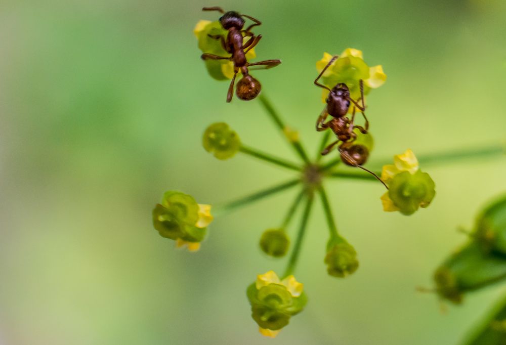 Фотография автора Maxim Bondar