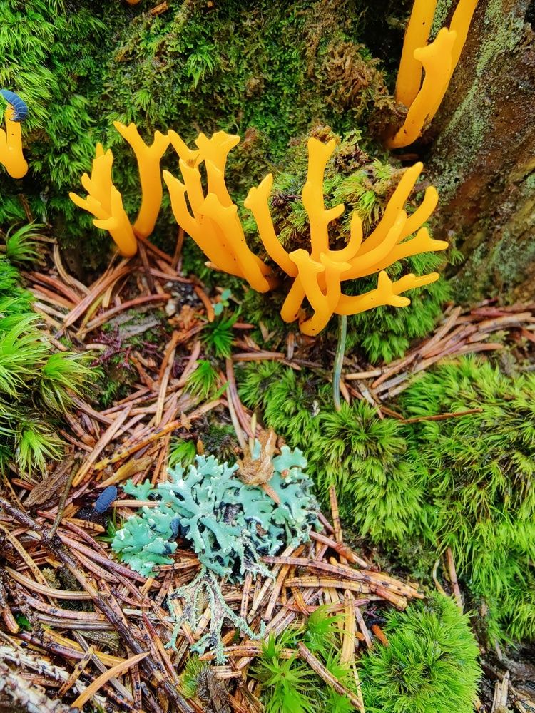 Фотография автора Андрій Вікторович