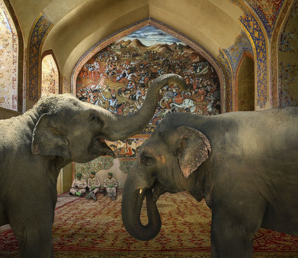 Photograph by majid hojati