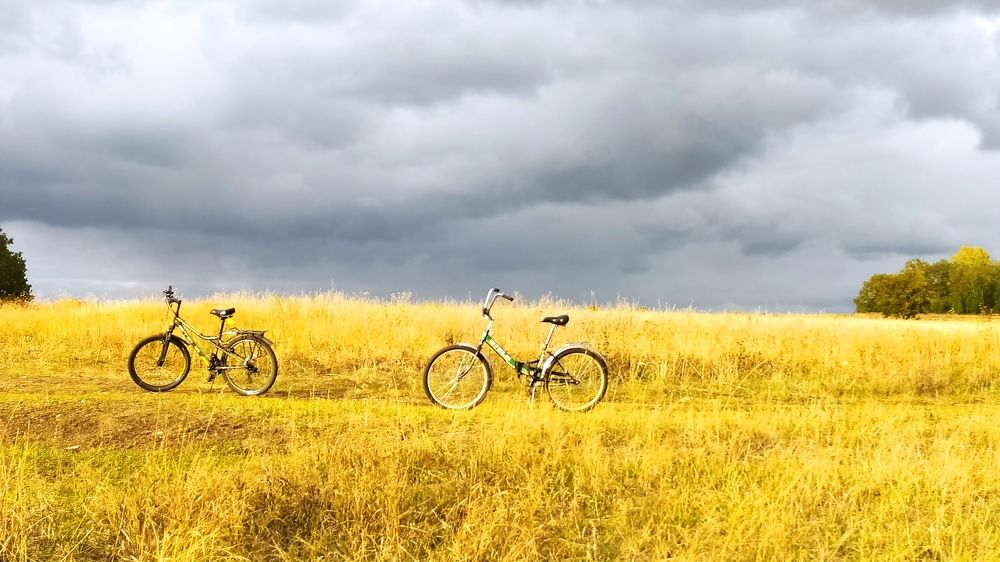 Где-то в Самарской луке.