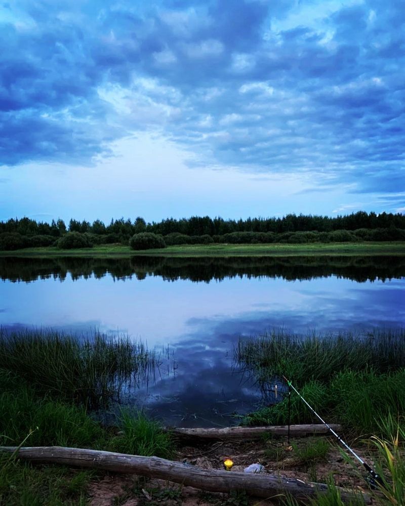 Photograph by Тамара Павлова