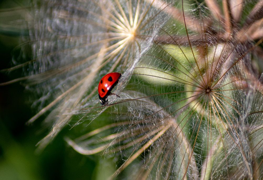 Photograph by Евгений Еськов