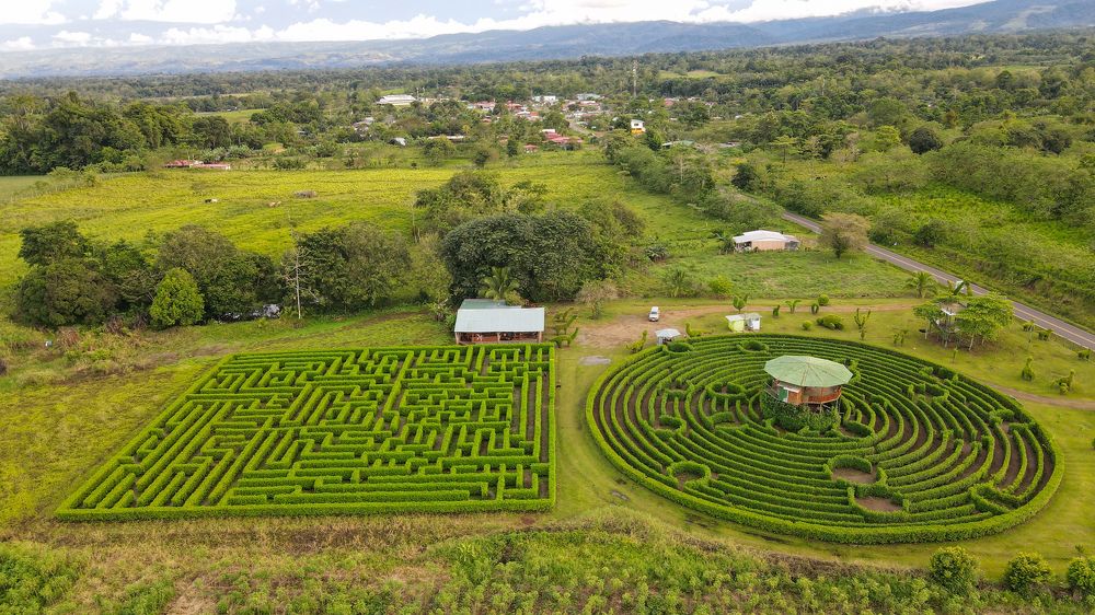 Photograph by Elio Rodríguez