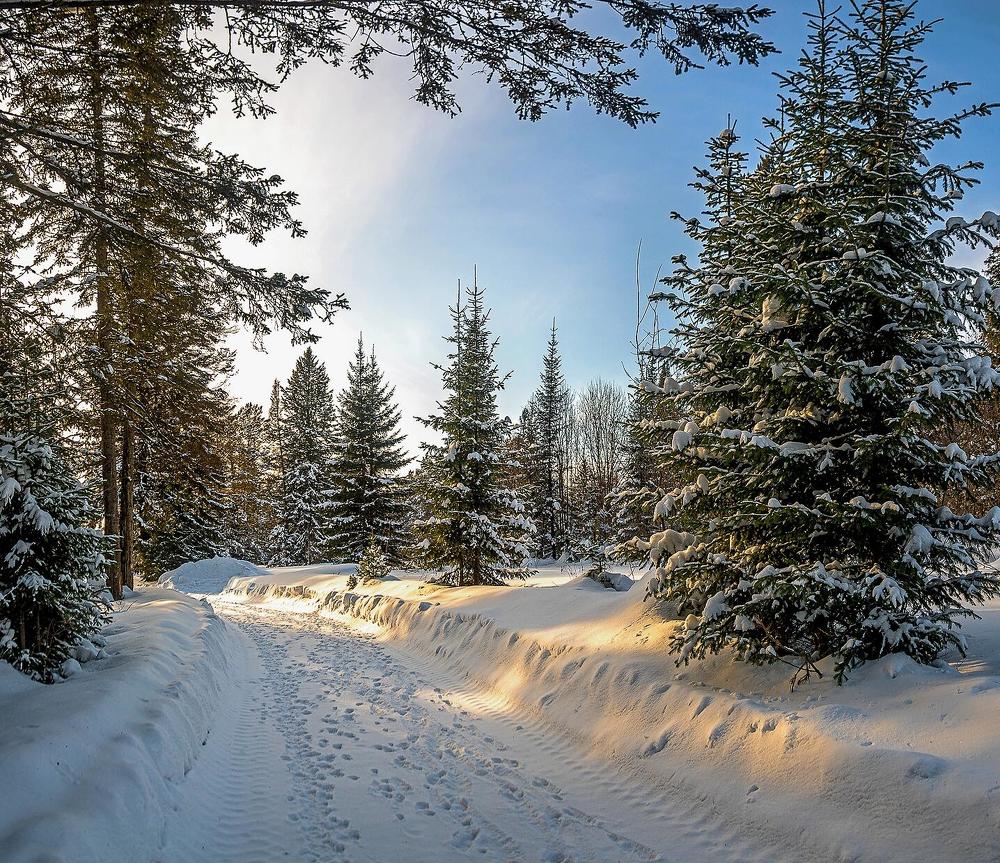 Фотография автора Владимир Деньгуб