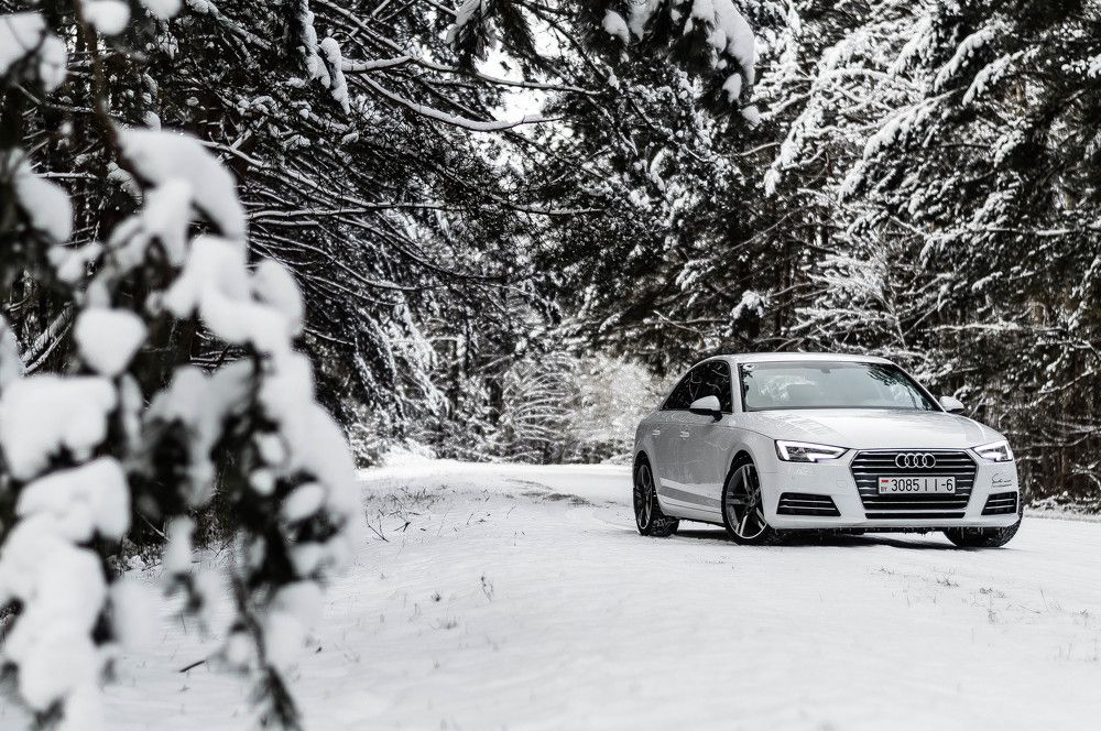 Фотография автора Юлия Волчкова