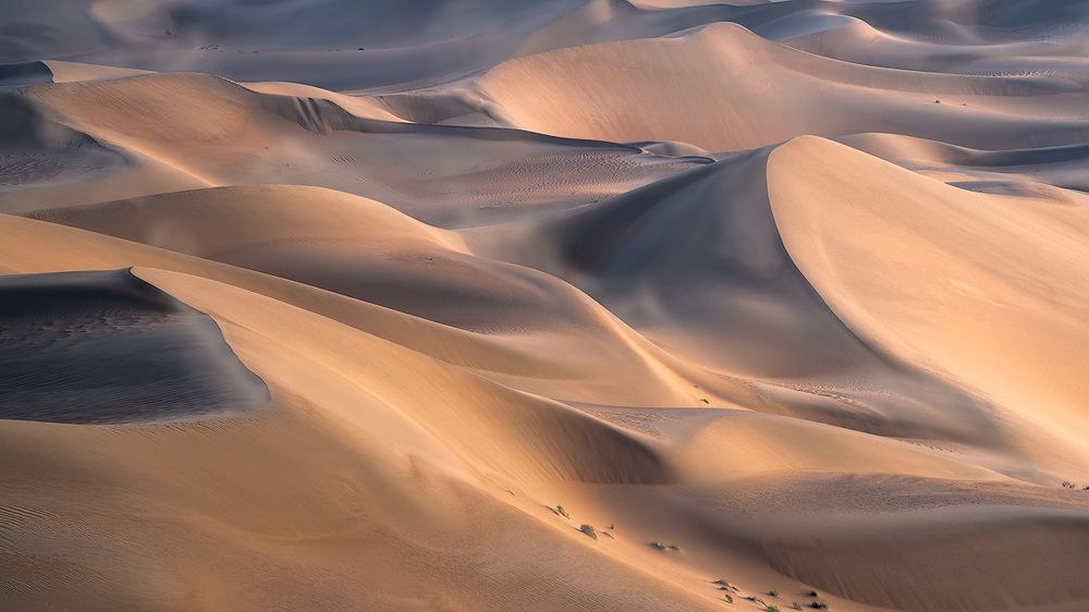 Photograph by 东烨华