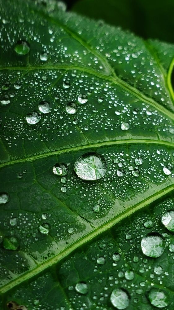 Photograph by Ирина Панкова