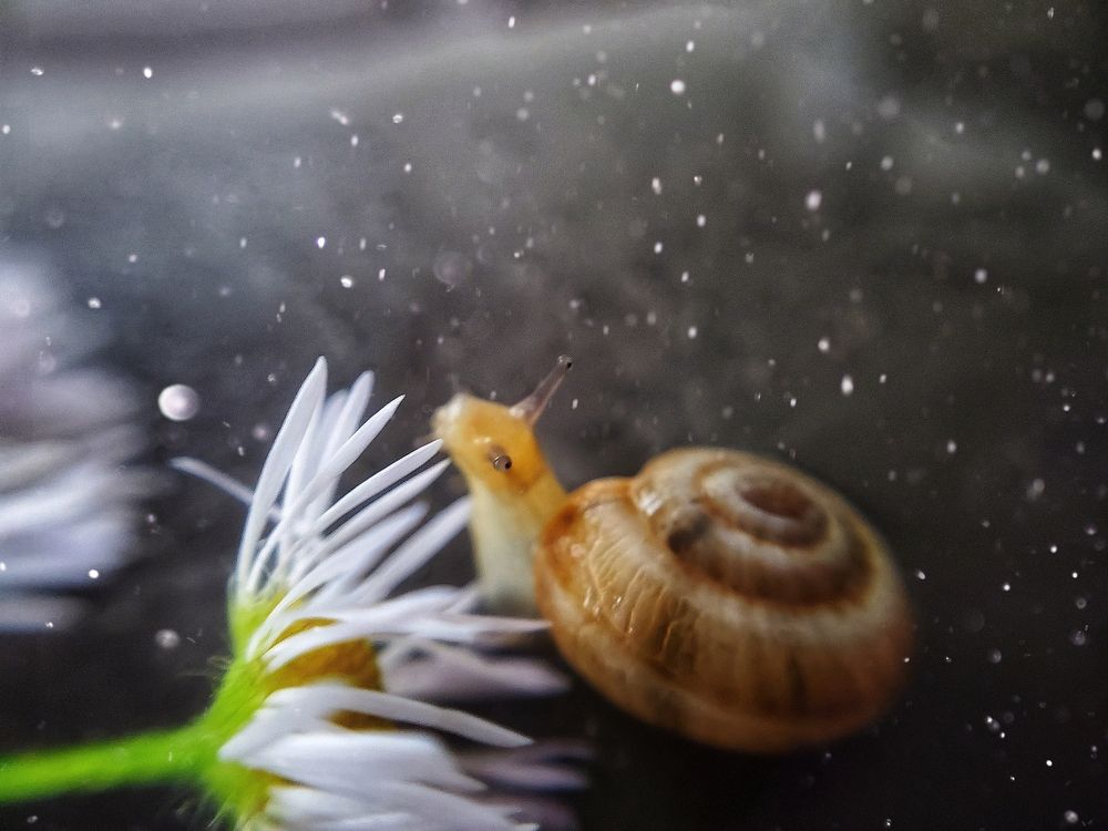 Photograph by Ирина Панкова