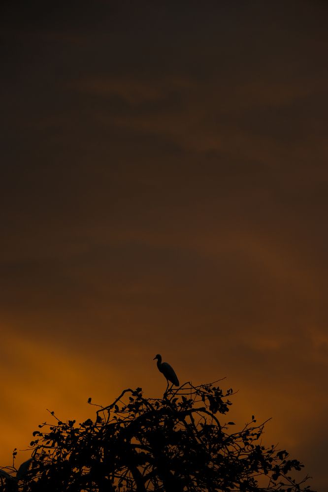 Photograph by ADARSH UPADHYAY