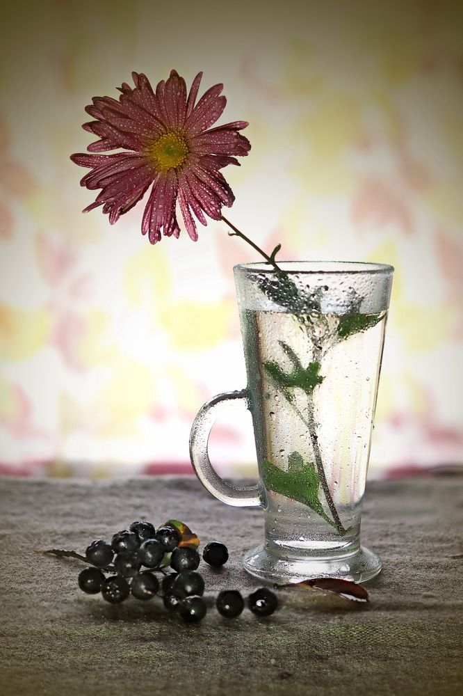 Провожая лето