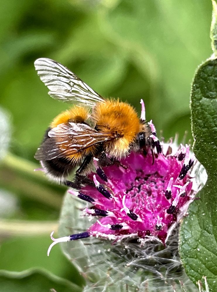 Photograph by Татьяна Ноздрина