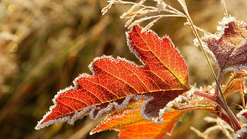 Photograph by Александр Потапов