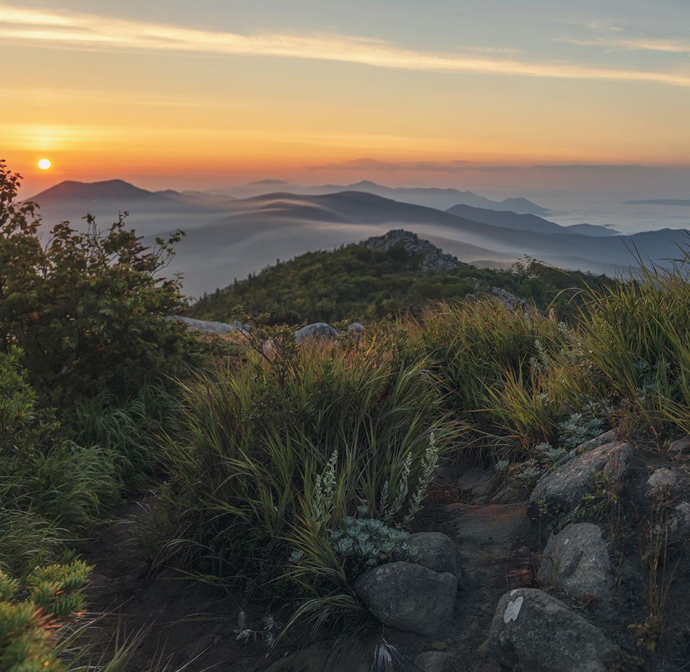 Photograph by Александр Кузнецов