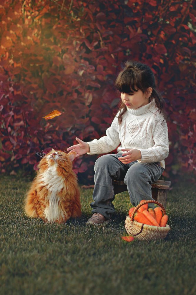 Photograph by Мария Чернявская