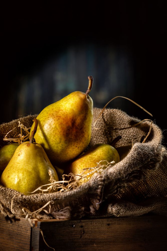 Фотография автора Дмитрий Герц