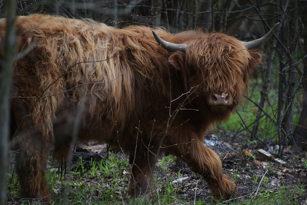 Photograph by Татьяна Крахина